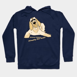 Spinone Italiano bright - Simply the best Hoodie